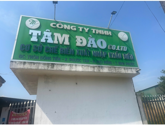 Thi công PCCC công ty hạt điều Tâm Đào - Bình Phước