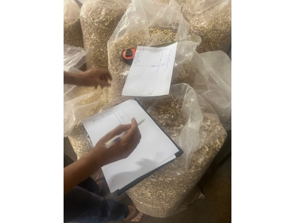 Thi công PCCC công ty hạt điều Tâm Đào - Bình Phước